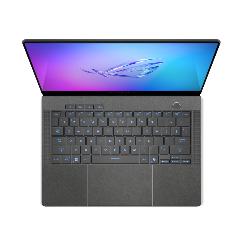ASUS ROG Zephyrus G14 (2025) Plain Color Leather Skins Gray