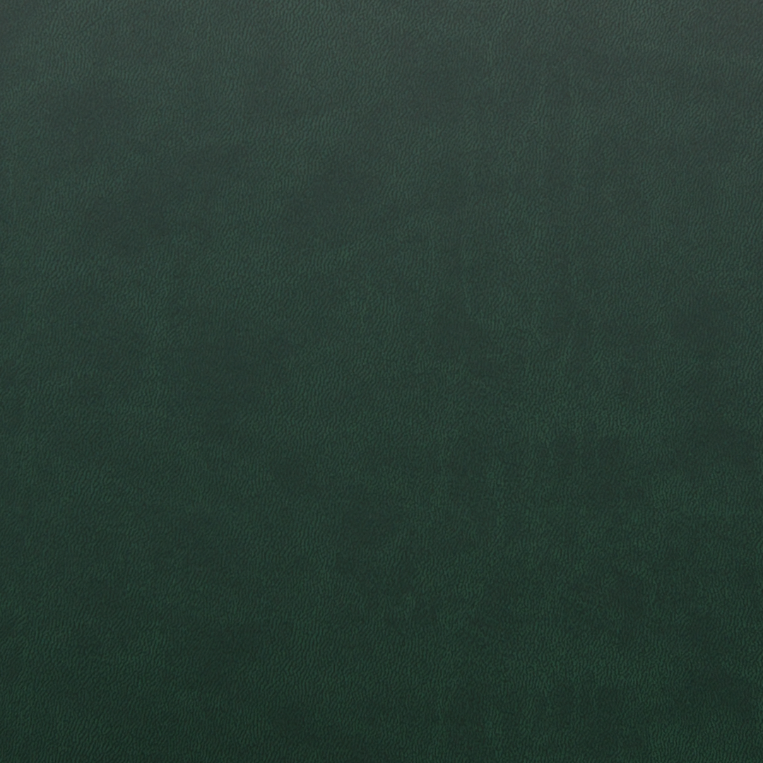 MacBook Pro 16 M4 2024 Plain color Leather Green