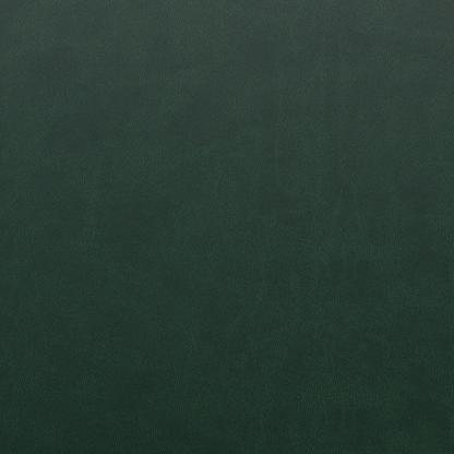 MacBook Pro 16 M4 2024 Plain color Leather Green