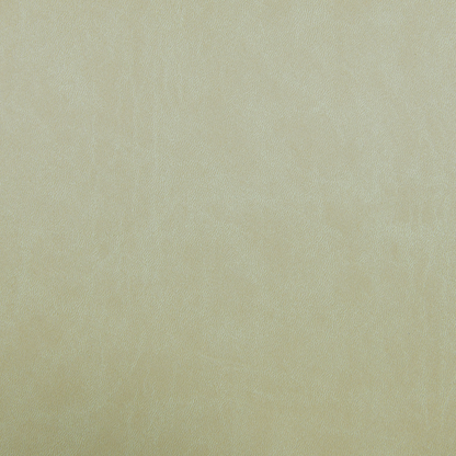 MacBook Air 15 M4 2025 Plain color Leather Gold